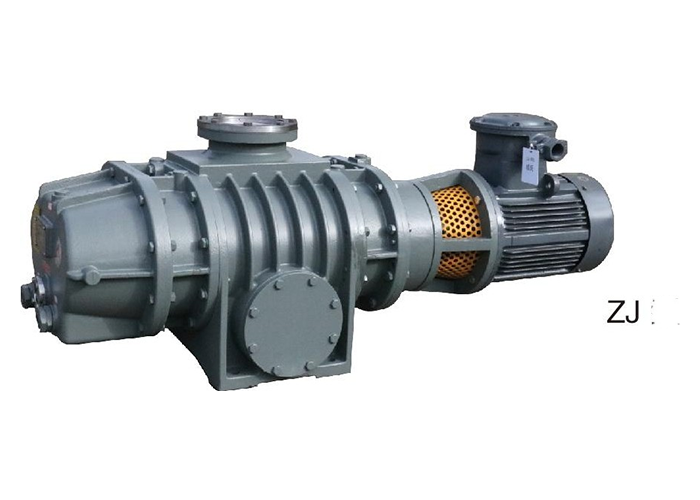 ZJB Series Roots Vacuum Pump