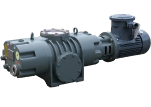 ZJ/B Series Roots Vacuum Pump