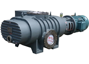 ZJB/B Series Roots Vacuum Pump