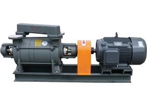 2SK — Single-stage Liquid Ring Vacuum Pump