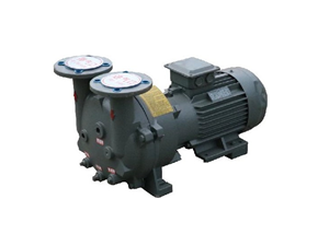 2BV5 Series Single-Stage Liquid Ring Vacuum Pump