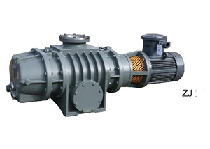 Roots Vacuum Pump