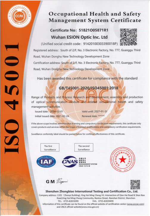 ISO 45001 Occupational Health and Safety Management System