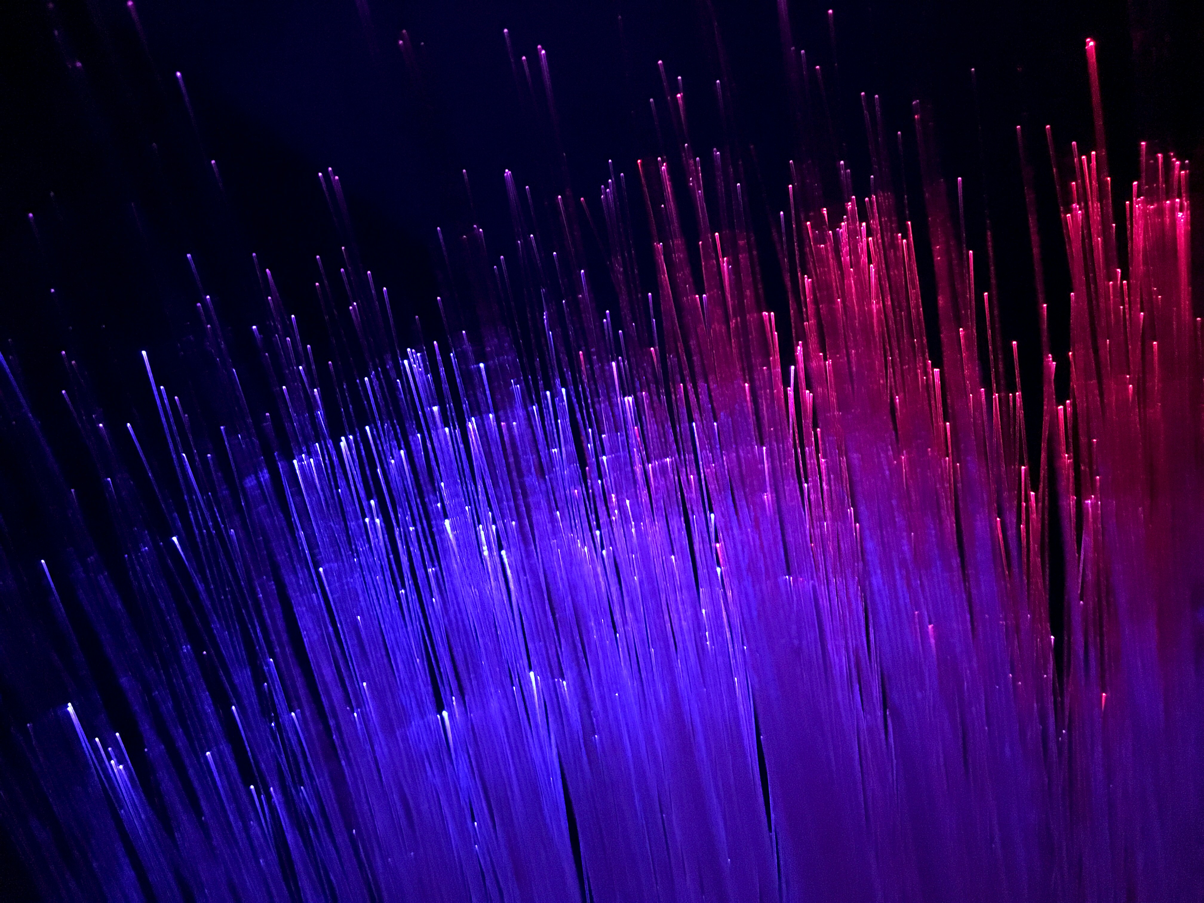 DSP（Digital Signal Processing）