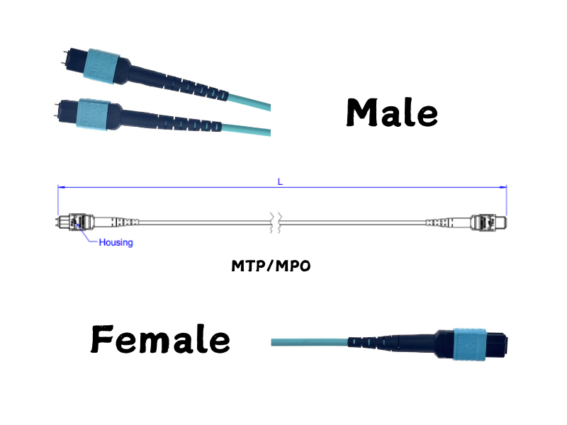 Optical Fiber Connector