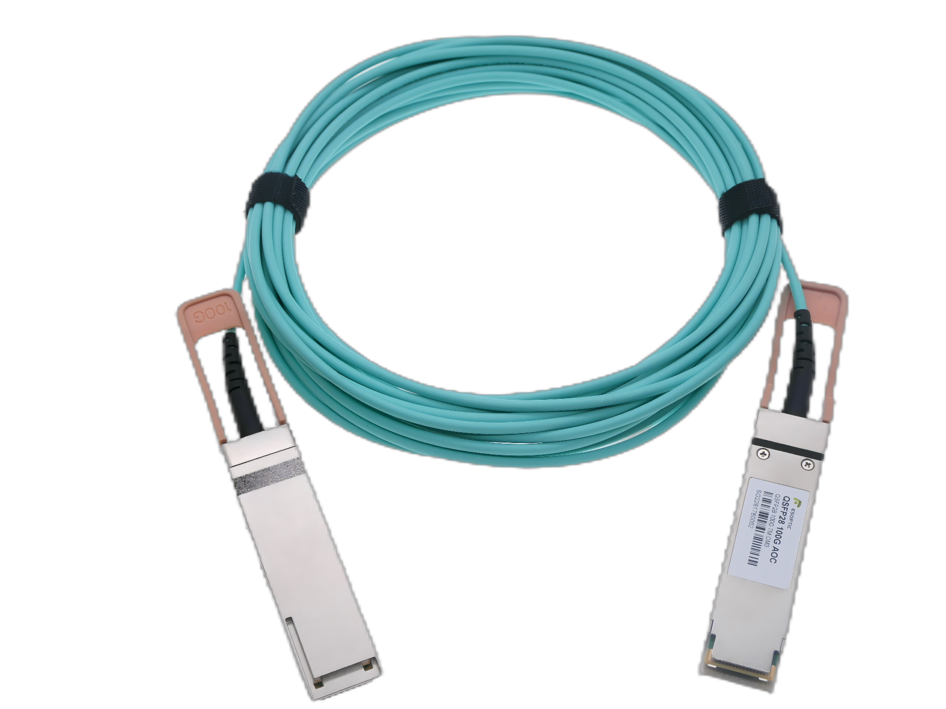 100G Modules
