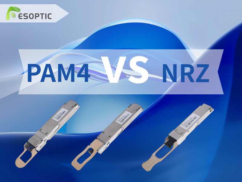 PAM4 vs NRZ: evoluzione dei formati di modulazione nelle reti ottiche ad alta velocità