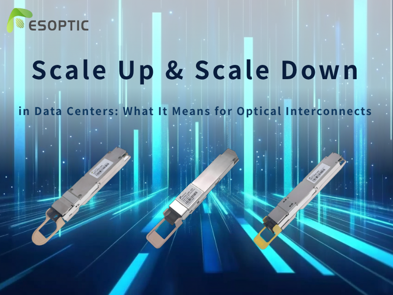 Scale Up