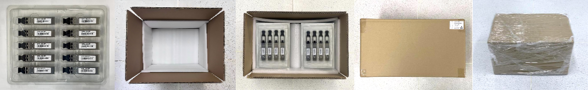 1G 1310nm