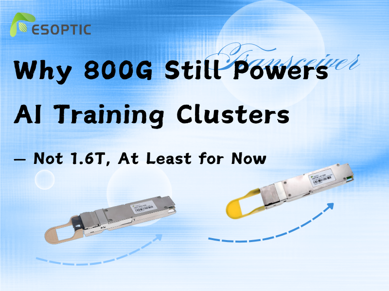 Perché 800G domina ancora i cluster di addestramento dell'IA invece di 1,6T