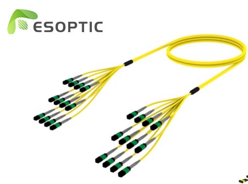Cavo trunk ad alta densità: semplificazione dell'infrastruttura in fibra ad alta velocità per i moderni data center.