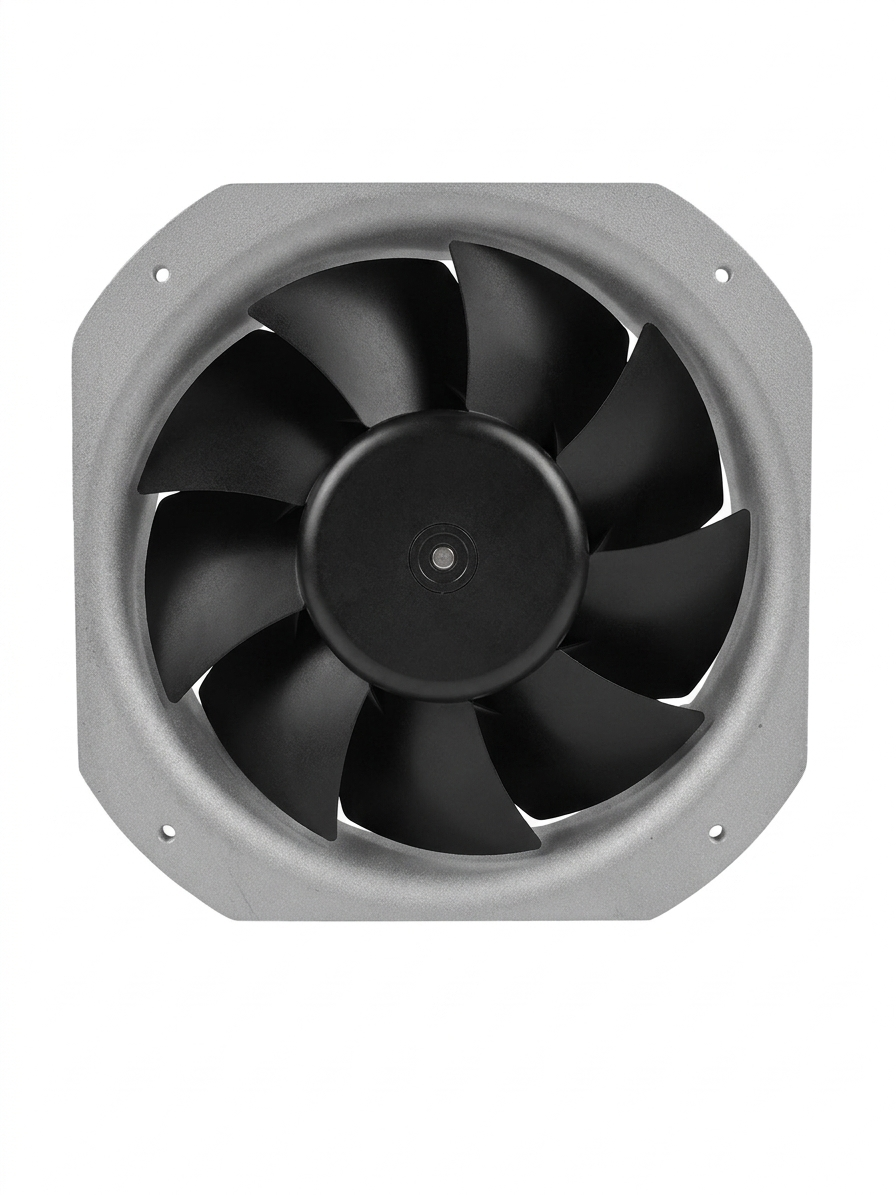 fan fan