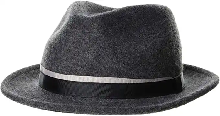 fedora hat