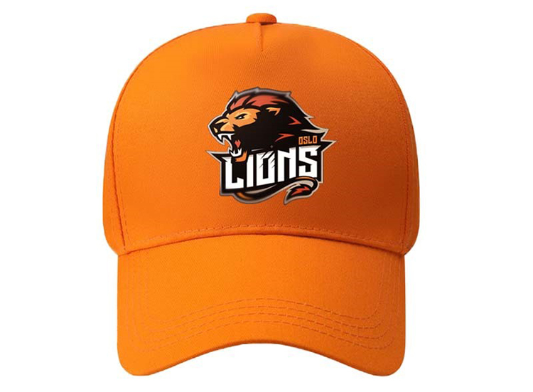 the Detroit Lions