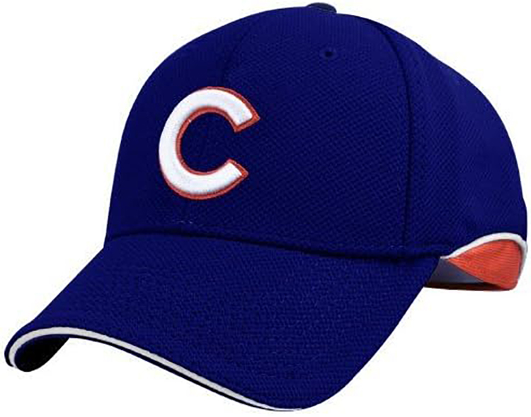 The Chicago Cubs