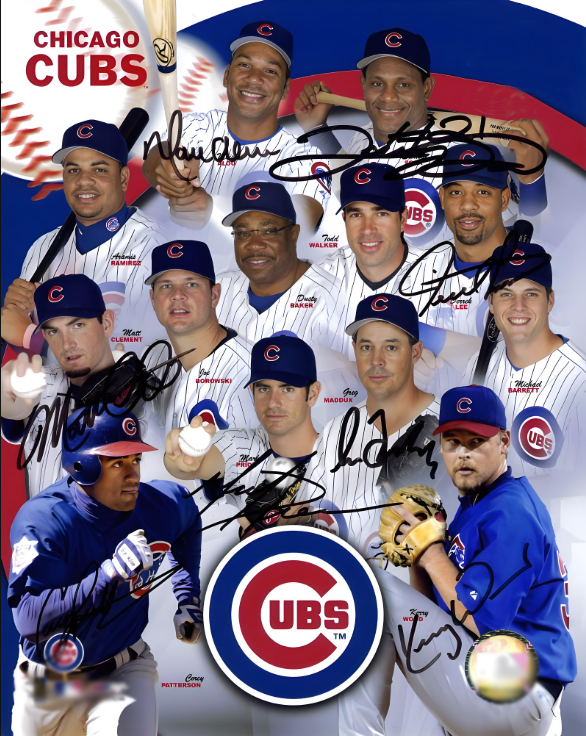 The Chicago Cubs baseball cap