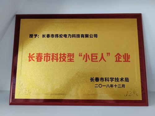 Changchun's Technology-Based Little Giant Enterprises