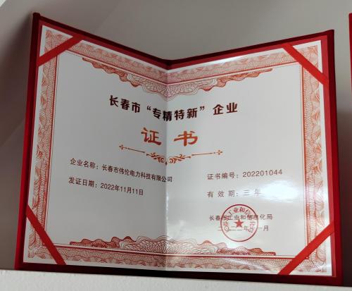 Changchun Specialized, Refined, Special and New Enterprise