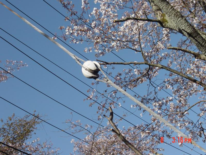 成形済みワイヤーガイグリップの利点は何ですか?