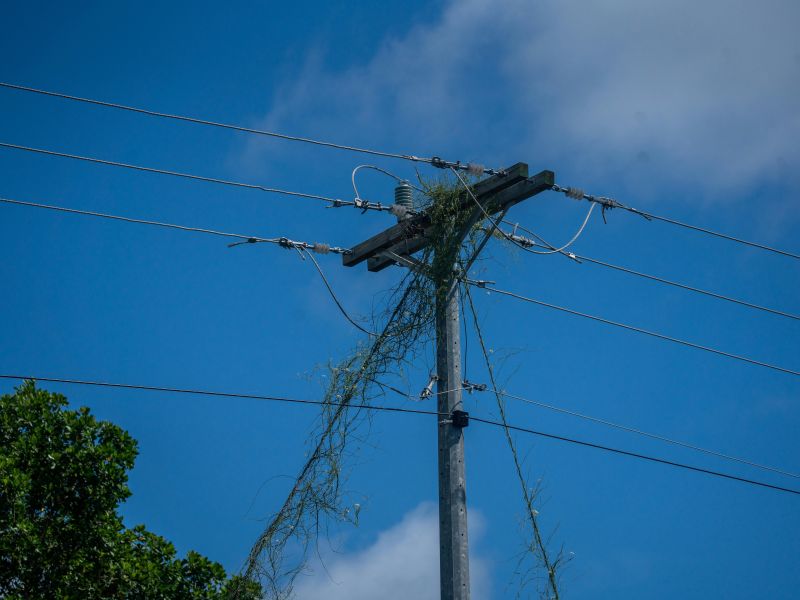 Para que serve a suspensão por grampo?