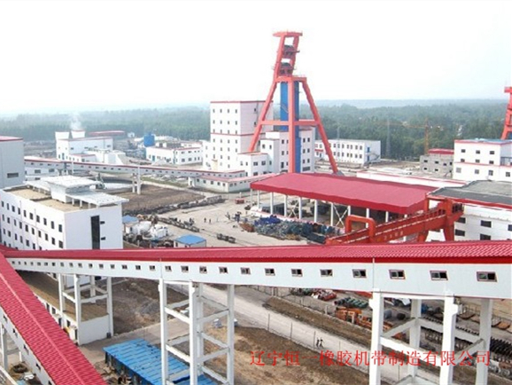 nylon conveyor belt