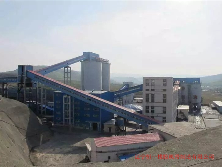 nylon conveyor belt