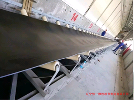 nylon conveyor belt