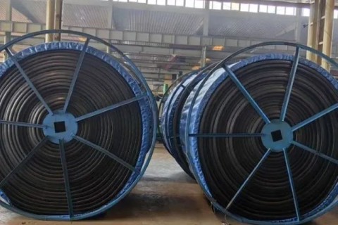 The Future Development Trends and Prospects of Industrial Conveyor Belts