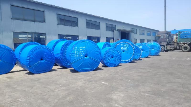 heavy duty nylon conveyor belt