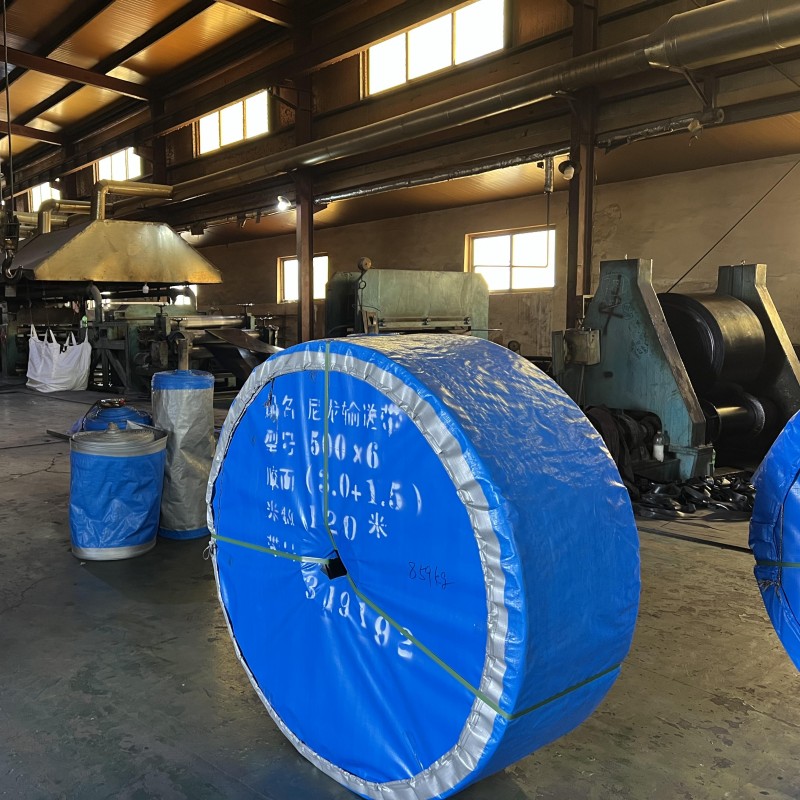 Industrial Nylon Belt