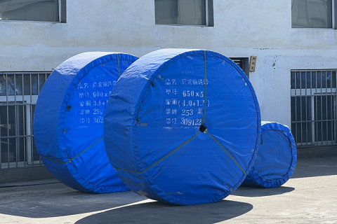 Do You Know What is the Flat Nylon Conveyor Belt?