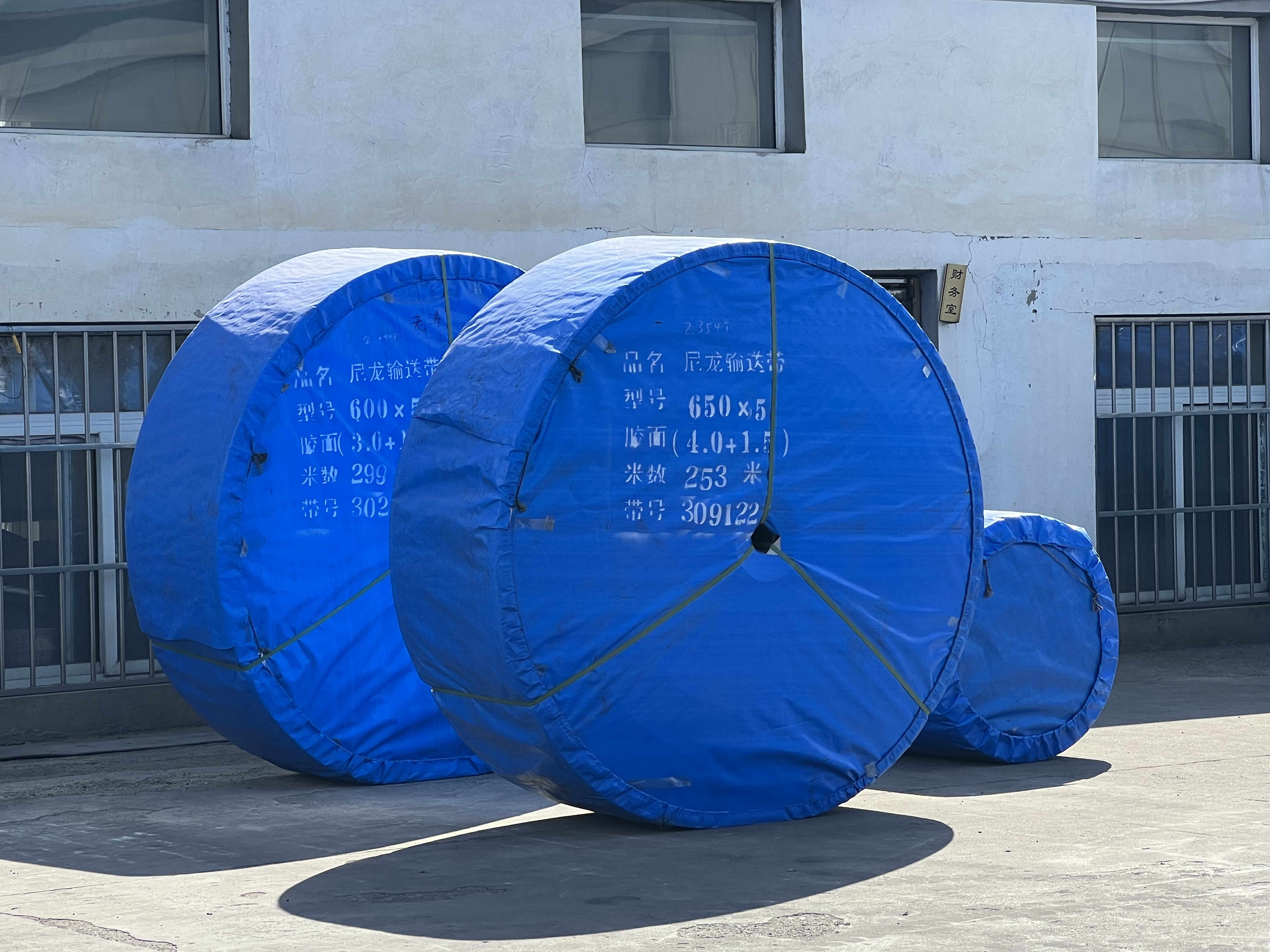 Flat Nylon Conveyor Belt
