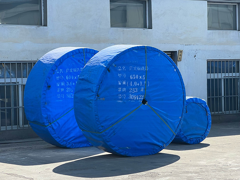 Heavy duty nylon conveyor belt