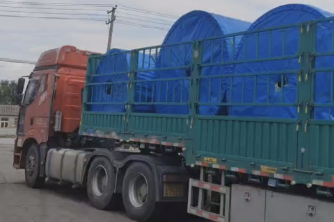 Solution to Nylon Conveyor Belt Deviation (2)