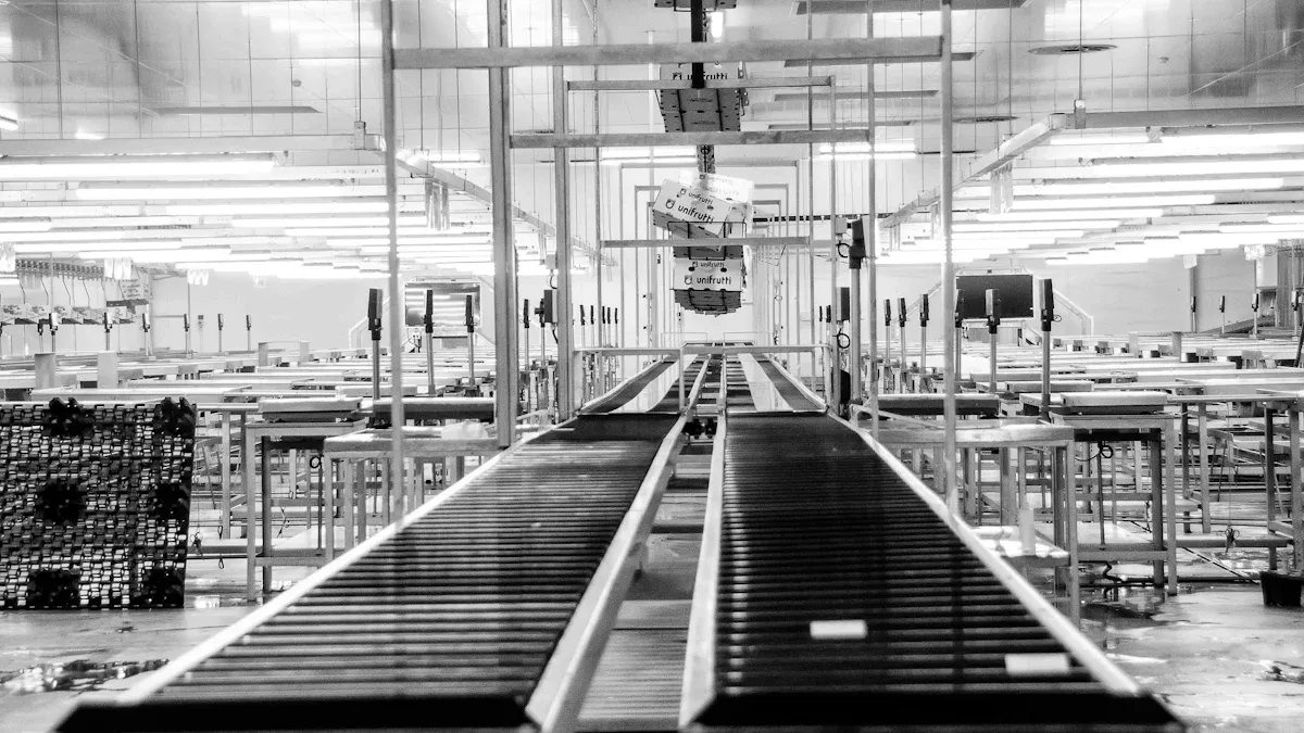What Does a Conveyor Belt Cost in 2025