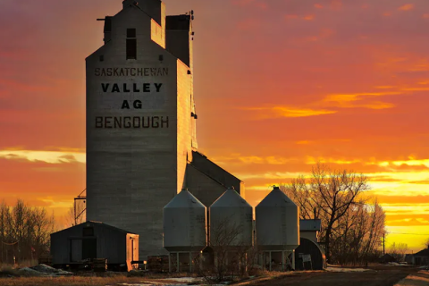 How Do You Pick the Best Bucket Conveyor Belt in 2025?