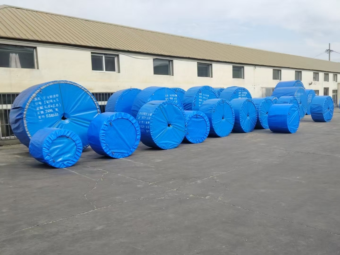 steel cord belt for bucket elevator