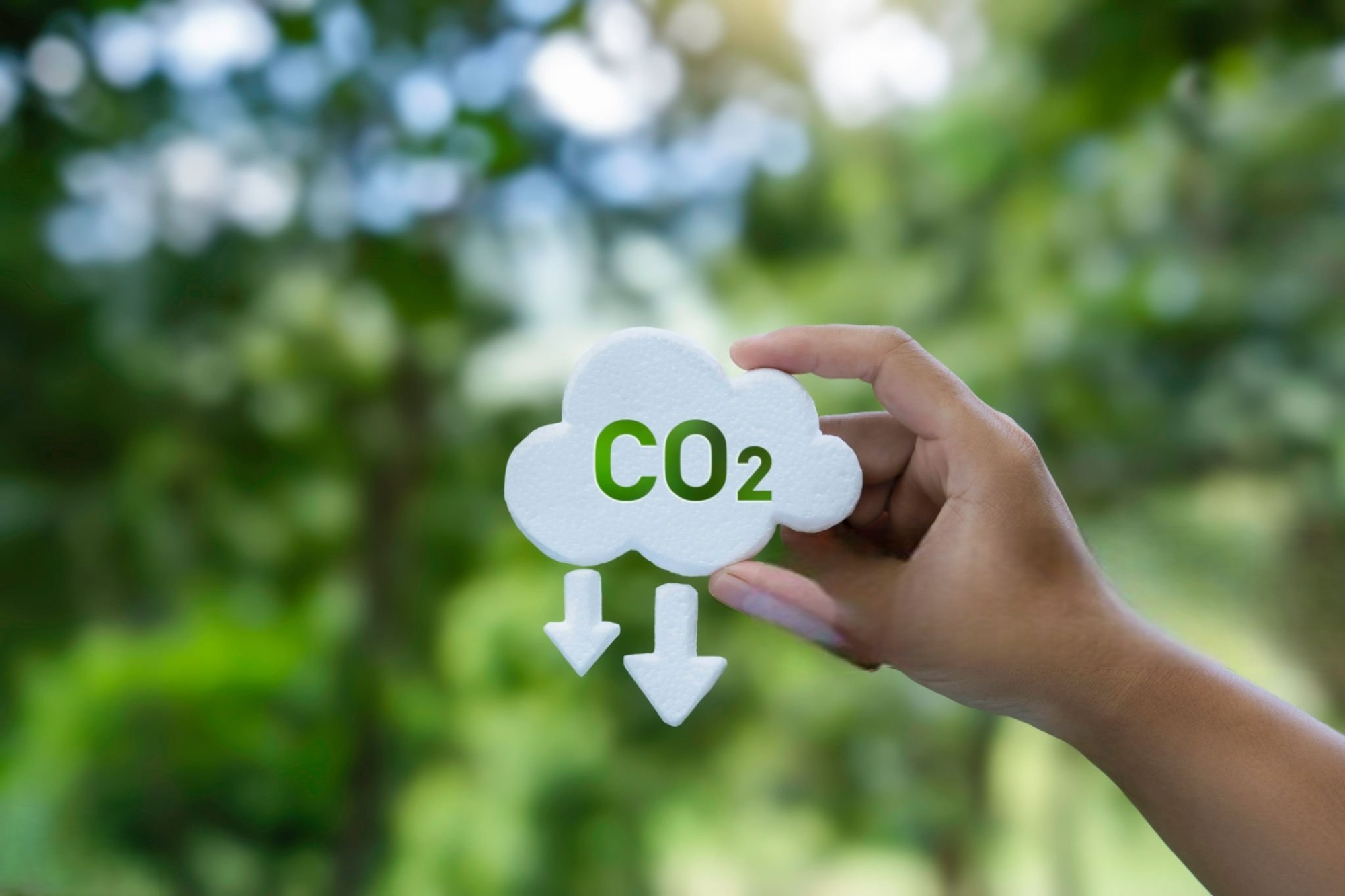 Industrial conveyor belt