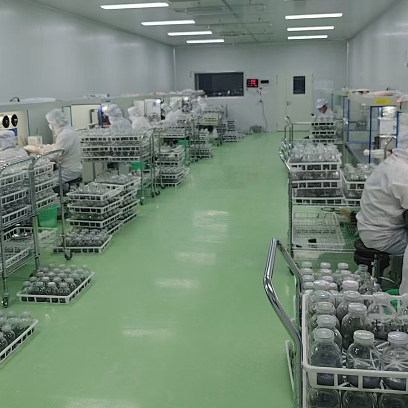 tissue culture room tissue culture room