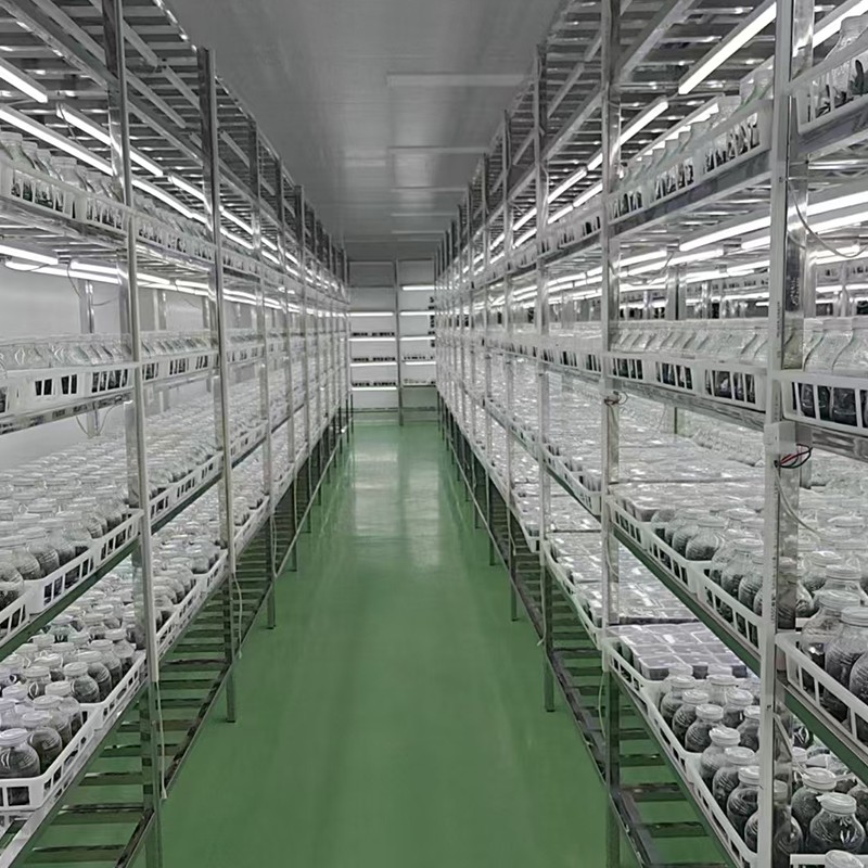 cell culture room cell culture room