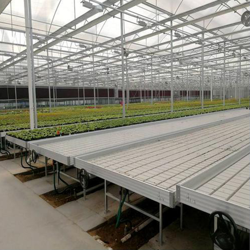 Tidal Seedbed Tidal Seedbed