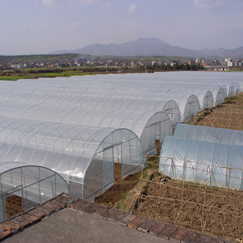 Roll Film Greenhouse