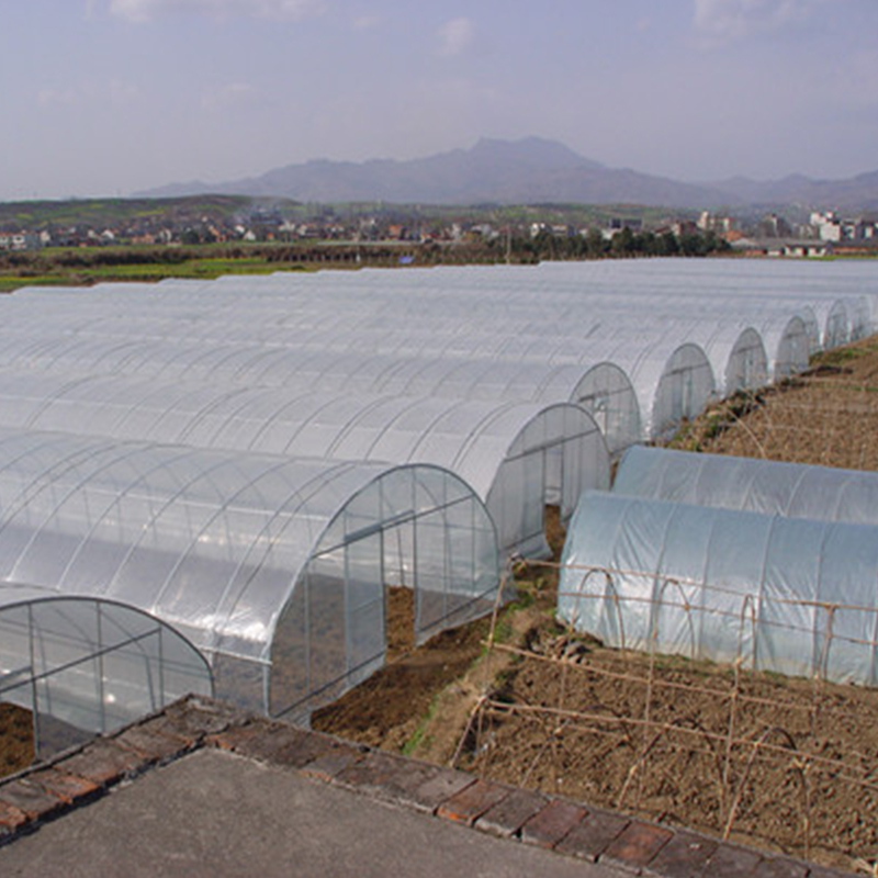 Advantages, characteristics and uses of single-arch film greenhouses