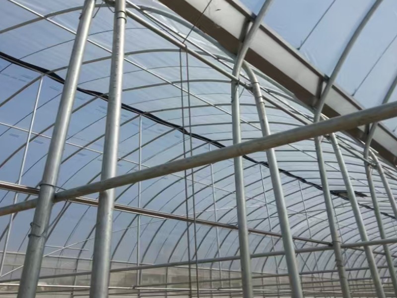 polyethylene film greenhouse