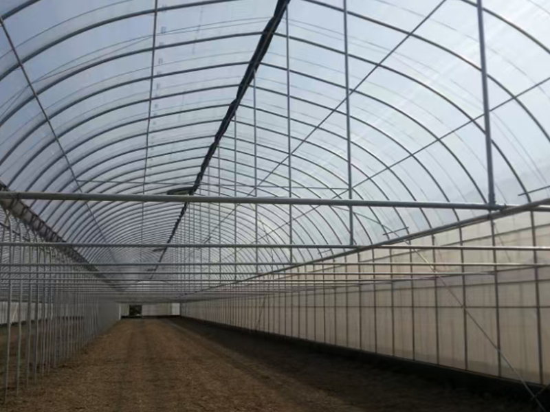 polyethylene greenhouse