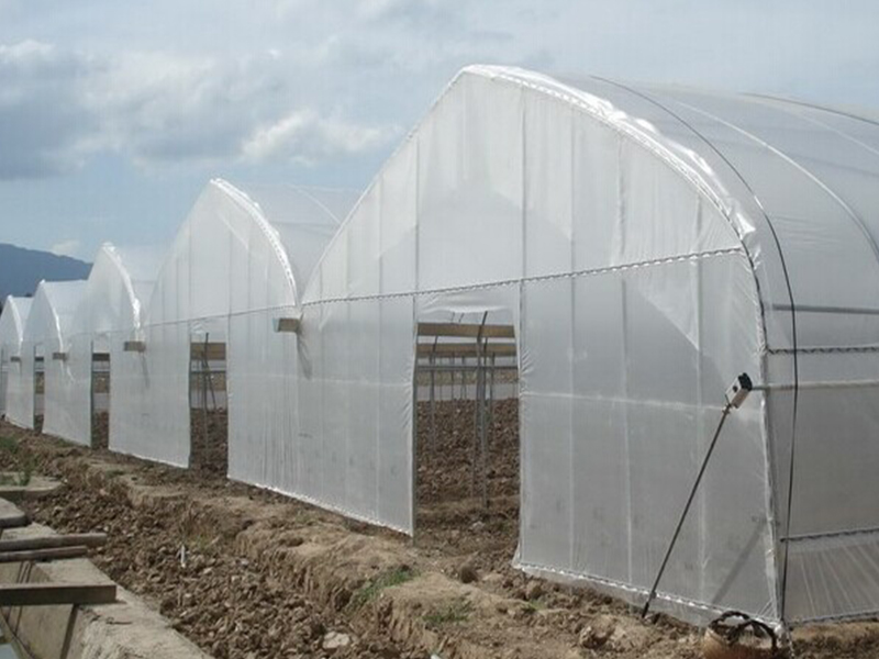 film greenhouse