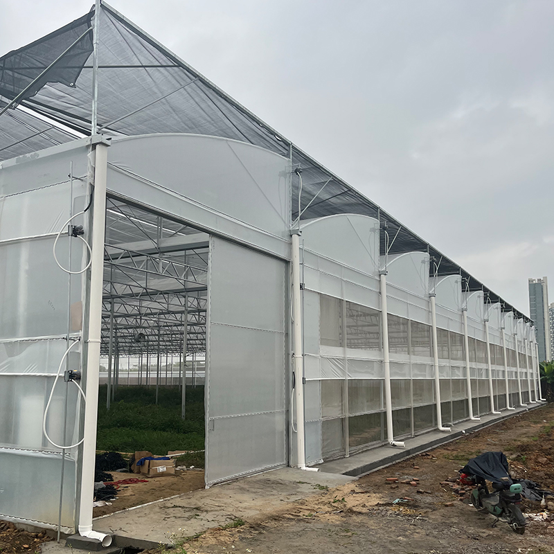 Why greenhouses are becoming more and more popular in modern agriculture