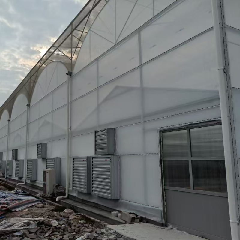 The 10,000 square meter standard Phalaenopsis greenhouse was completed in Lishui, Foshan City