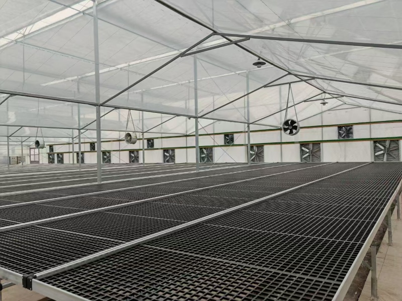 Polycarbonate greenhouse