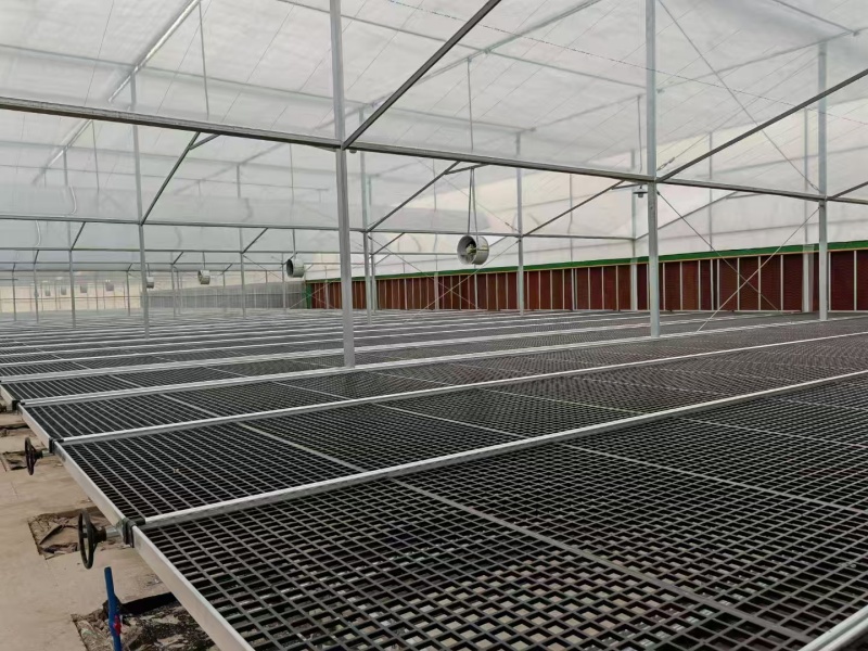 polyethylene film greenhouse